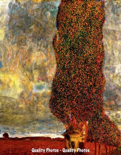 Large poplar tree coming - tree, ii